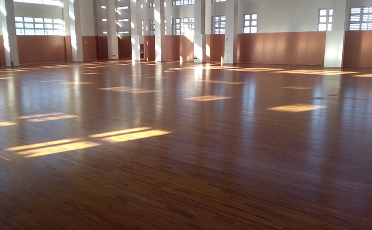 24厚木地板籃球館一平米**