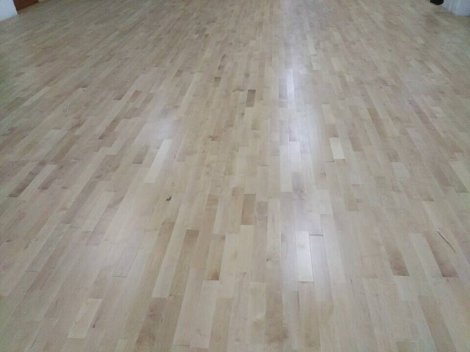 體育地板