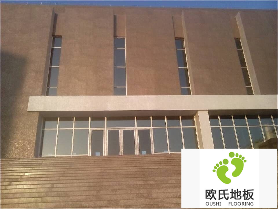 籃球場(chǎng)地板施工案例-樂(lè)清市蒲岐中學(xué)