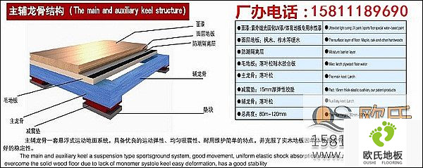 體育木地板區(qū)別于其它地板的特點(diǎn)